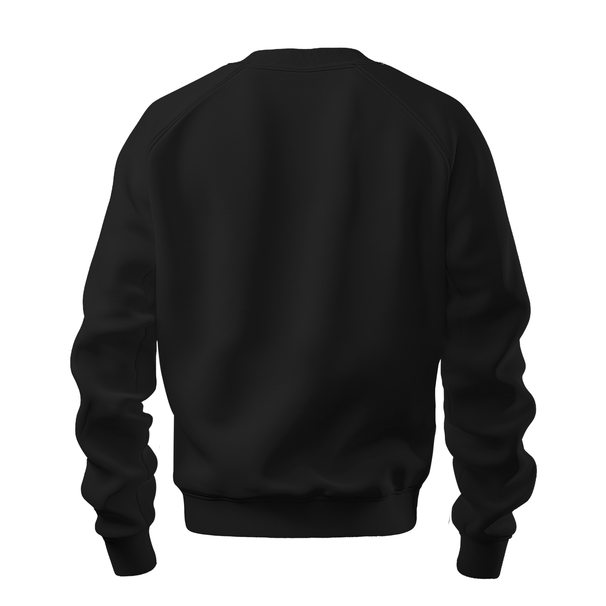 BASIC - Sweatshirt